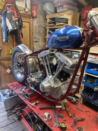 Harley triumph flat - triumph, track