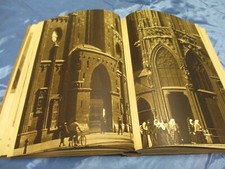 Verborgene Schönheit 