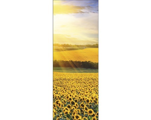 Glasbild sonnenblumenfeld iii - glasbild,