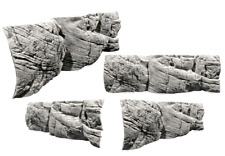 Back to Nature Rückwand