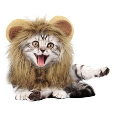 Mode Katze Löwenmähne Perücke mit Ohren Cosplay Warmer Hoodie für Partyhunde