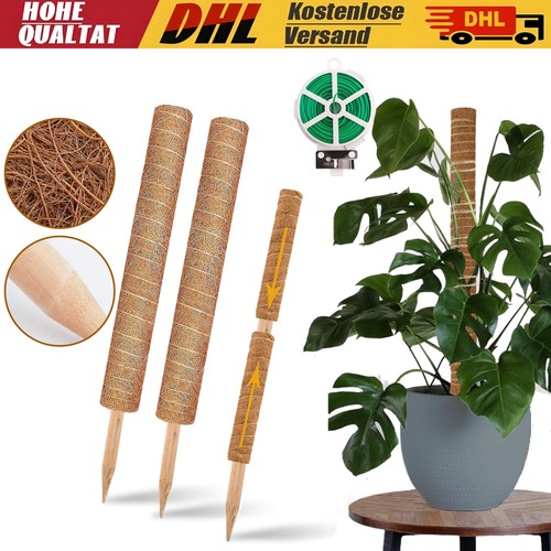 Kokos pflanzstab rankhilfe - 2x,
