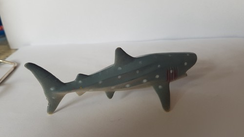 Walhai rhincodon typus - walhai, -rhincodon