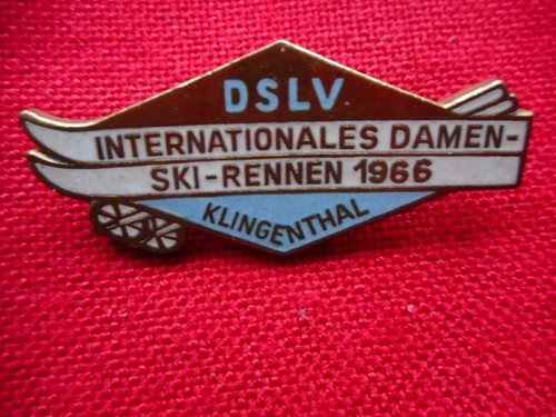 Abzeichen dslv intern - abzeichen, dslv,intern