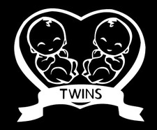 Auto Aufkleber Sticker Emblem Heckscheibe Tuning  Twins Zwillinge Farbe Weiß P34