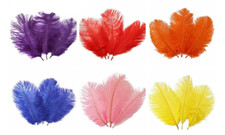 Straußen Federn Fliegenbinden Günstig Restposten