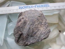 Fossiles verkieseltes Holz