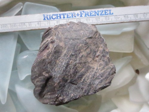 Fossiles verkieseltes holz - fossiles,