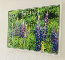 Fotografie „Blaue Lagune“