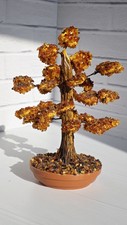 3. Bernsteinbaum
