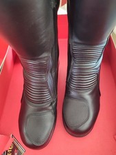 Daytona Lady Pilot Gr. 40