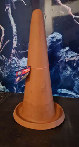 Ablaichkegel laichkegel - ablaichkegel,