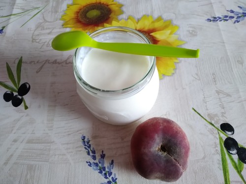 Kaukasische milchkefir - kaukasische,