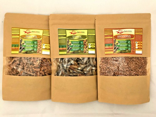 Futtermix für reptilien x - futtermix, 3