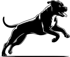 PRESA CANARIO Dogo Canario