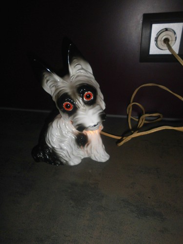 Alter rauchverzehrer hund - hund, grau