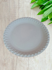 100 Stück Pappteller Rund