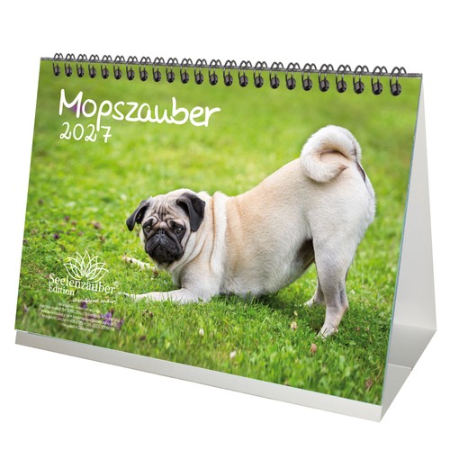 Mopszauber din - din, a5