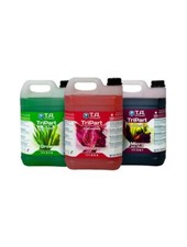 T.A. Terra Aquatica GHE –