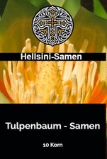 Tulpenbaum Liriodendron