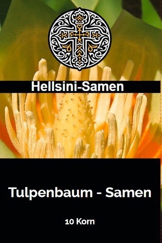 Tulpenbaum liriodendron - tulpenbaum,