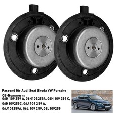 2X Zentralmagnet Nockenwelle