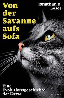 Von der savanne aufs - der,