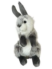 Hase Kaninchen wie neu