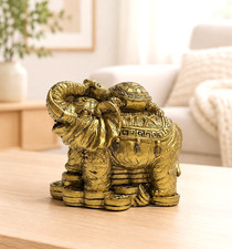 Feng shui schildkröte - feng, auf