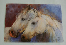 1x Postkarten PFERDE zwei