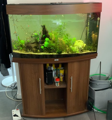 Juwel aquarium vision - juwel, 180