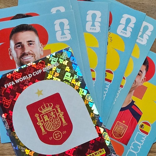 Panini spanien fifa wm - panini,
