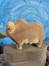 Ostheimer Moschusochse