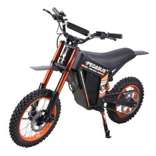 Pegasus 3000w electric - pegasus,