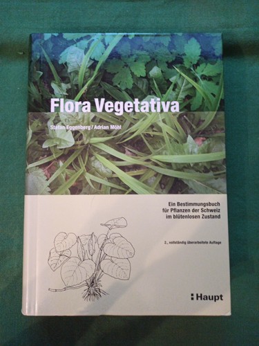 Flora vegetativa ein - vegetativa:,