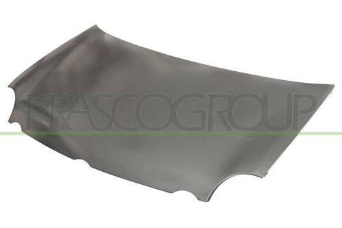 Motorhaube für polo 9n - polo,