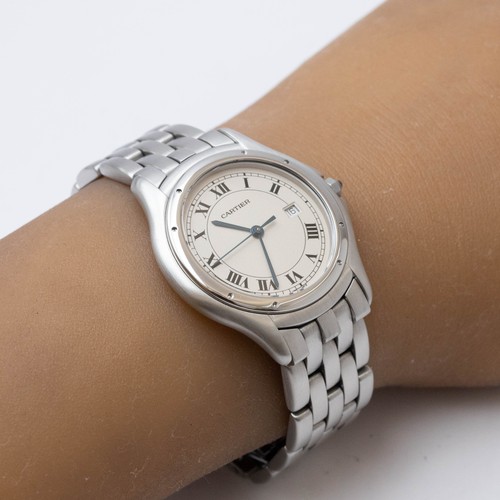 Cartier panthère cougar - panthère,