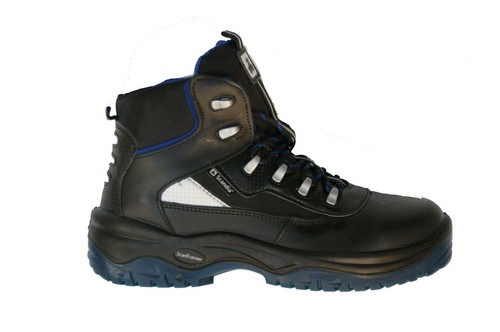 Scandia trainer - scandia,