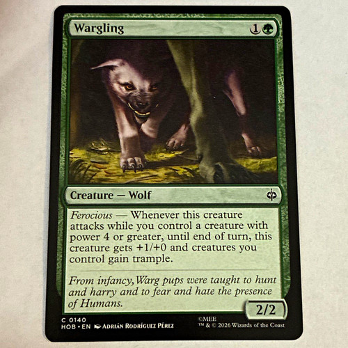 Wizards the coast magic - wizards, of