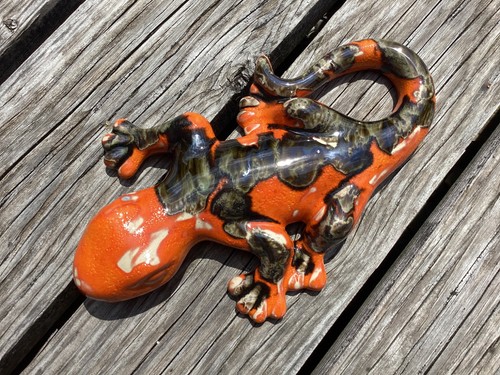 Salamander groß gecko - -,
