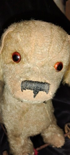 Antiker steiff mohair welpe - antiker,