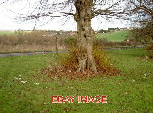 Foto hanham weisser ring - weisser,