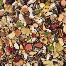 Graupapageien Futter - 2,5 kg