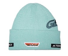 Adidas Terrex DSV warm mint