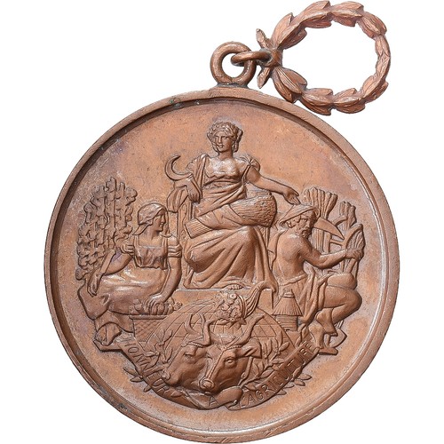 Frankreich medaille comice - frankreich,,
