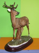 Stirnwaffenträger G. Armani