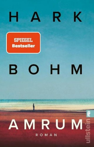 Amrum roman der - der, stoff