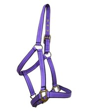 Nylonhalfter Purple für