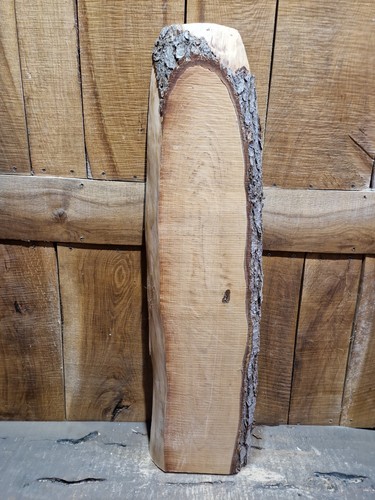 Zedernholzplatte holz live - zedernholzplatte,