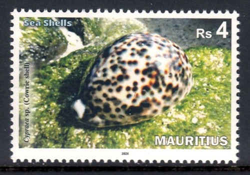 Mauritius 2026 shells - mauritius,